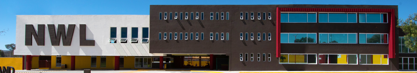Colegio Bilingüe en San Miguel de Allende, Newland 2024-2025